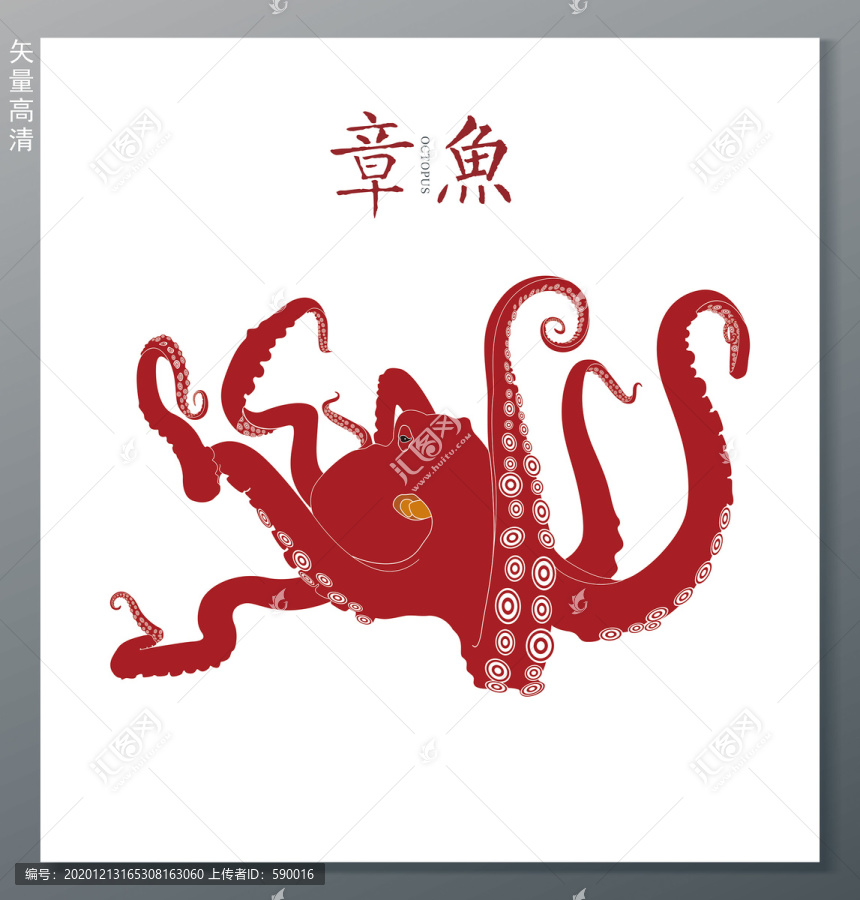 章魚(yú)