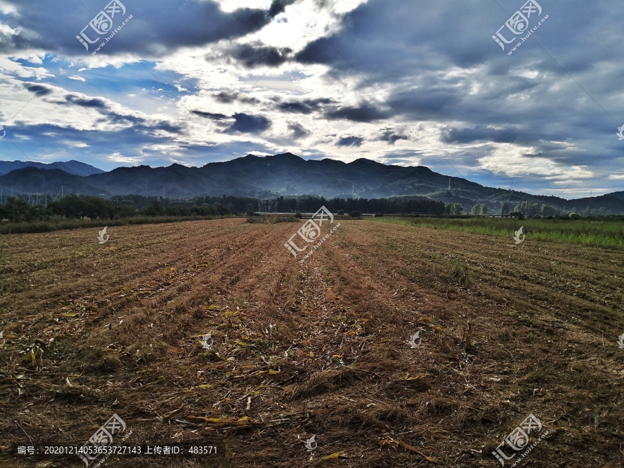 郊区风景