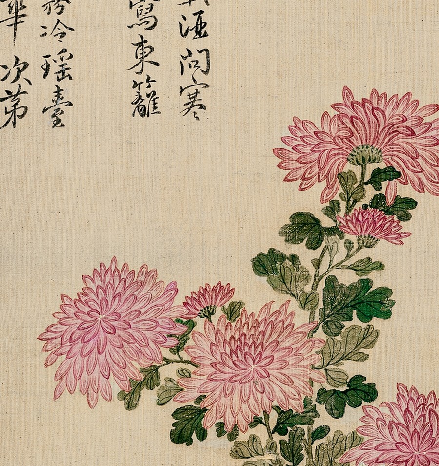 惲壽平菊花圖