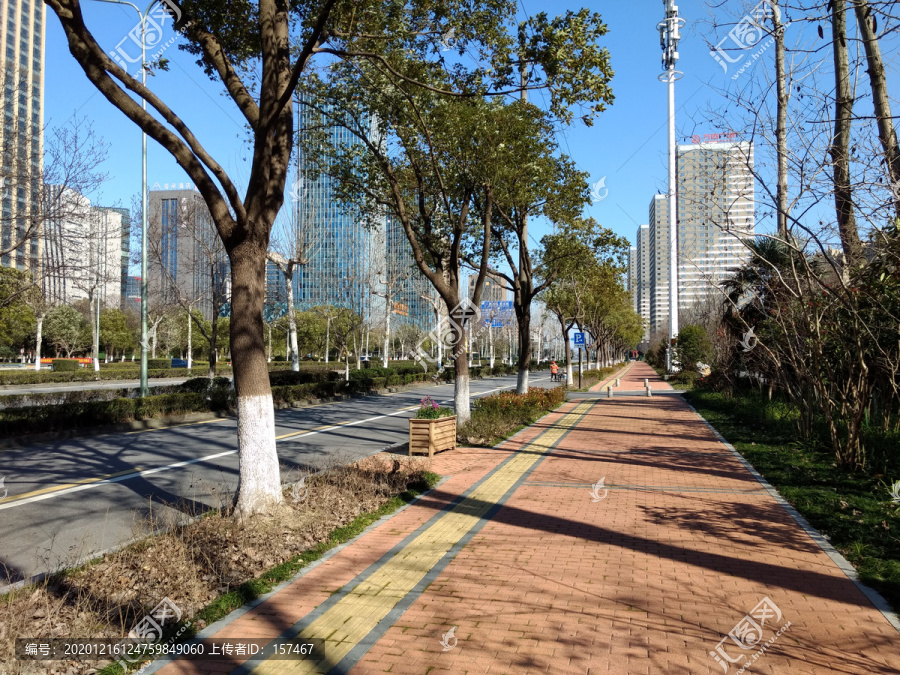 空旷的城市道路绿道