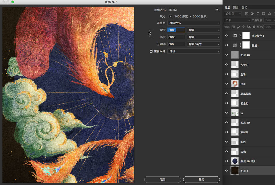 國風(fēng)鳳凰包裝插畫