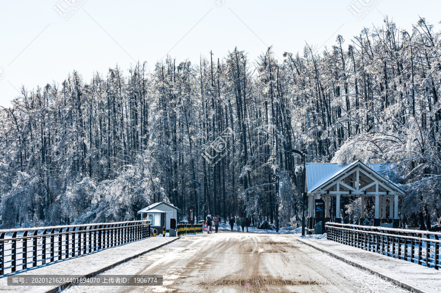 长春净月潭国家森林公园冬季雪景