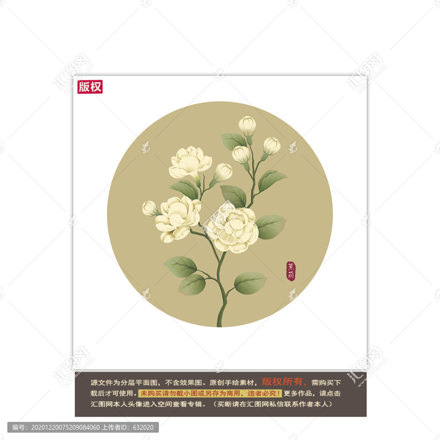 茉莉花圖片