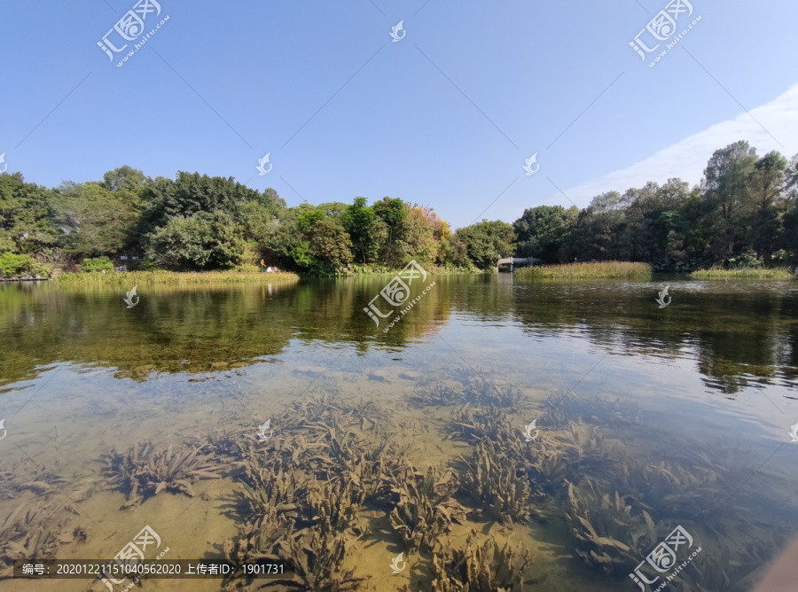 海珠湿地公园