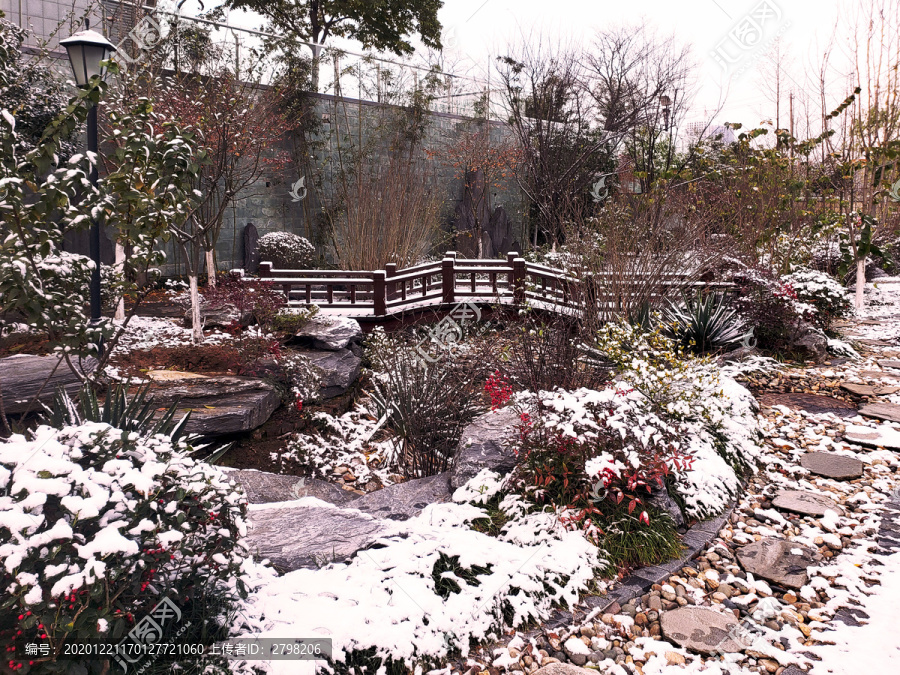 白雪中的木桥红叶