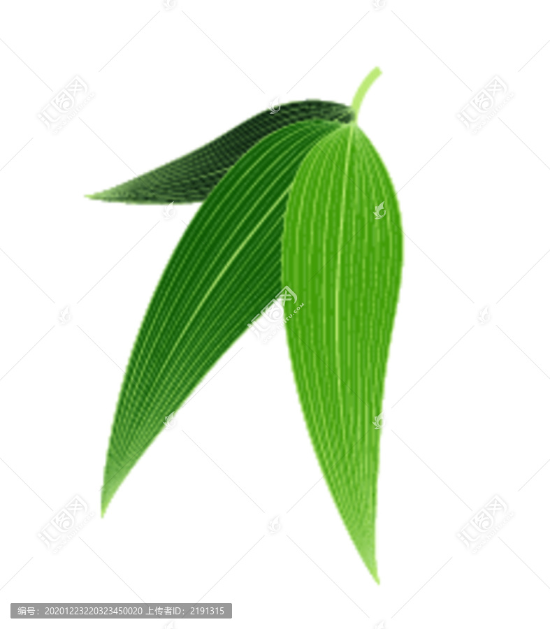 粽葉