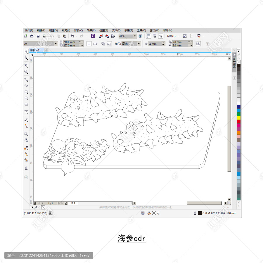 海参cdr矢量图