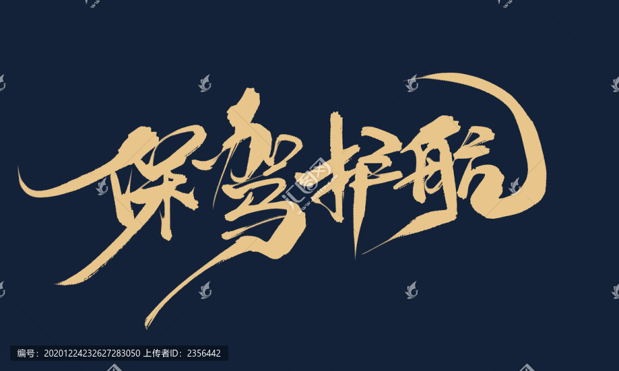 保駕護(hù)航