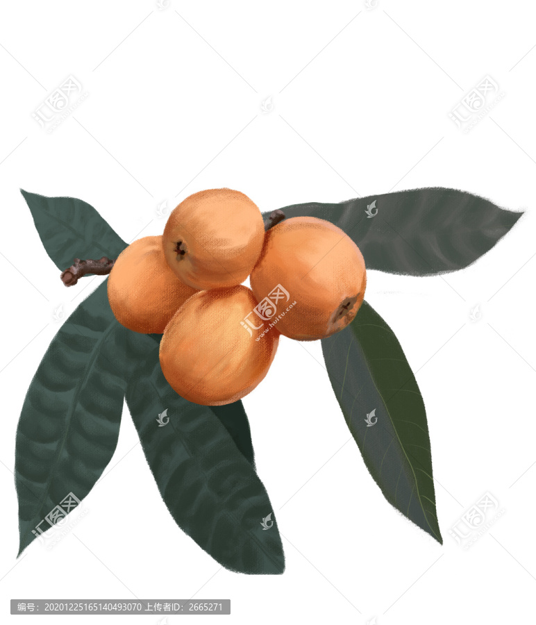 手繪枇杷包裝插畫設(shè)計(jì)