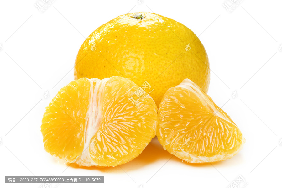 橘柚白底图