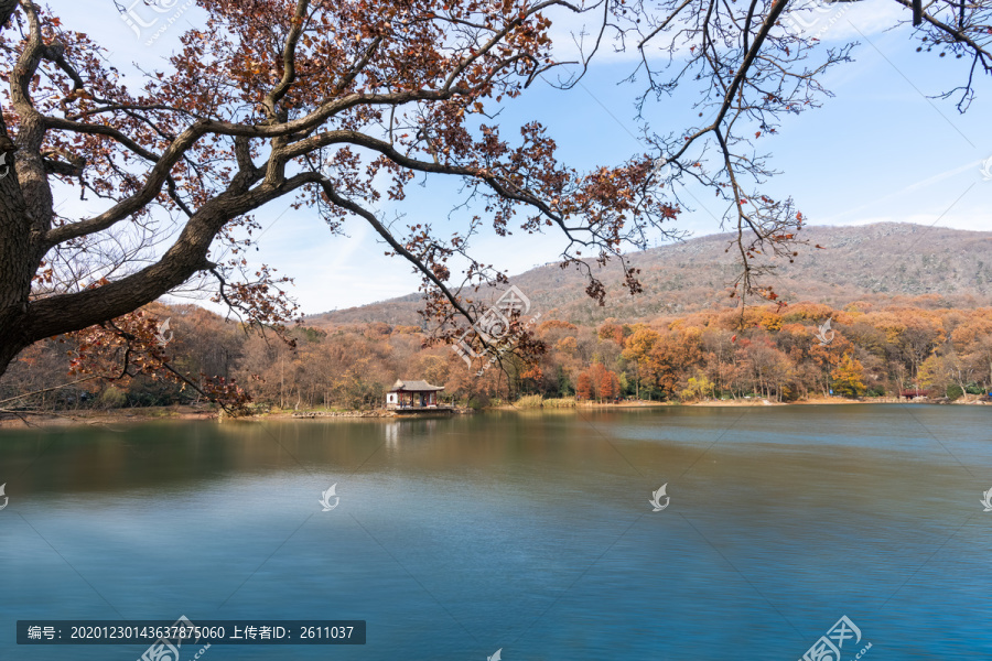 紫霞湖冬景