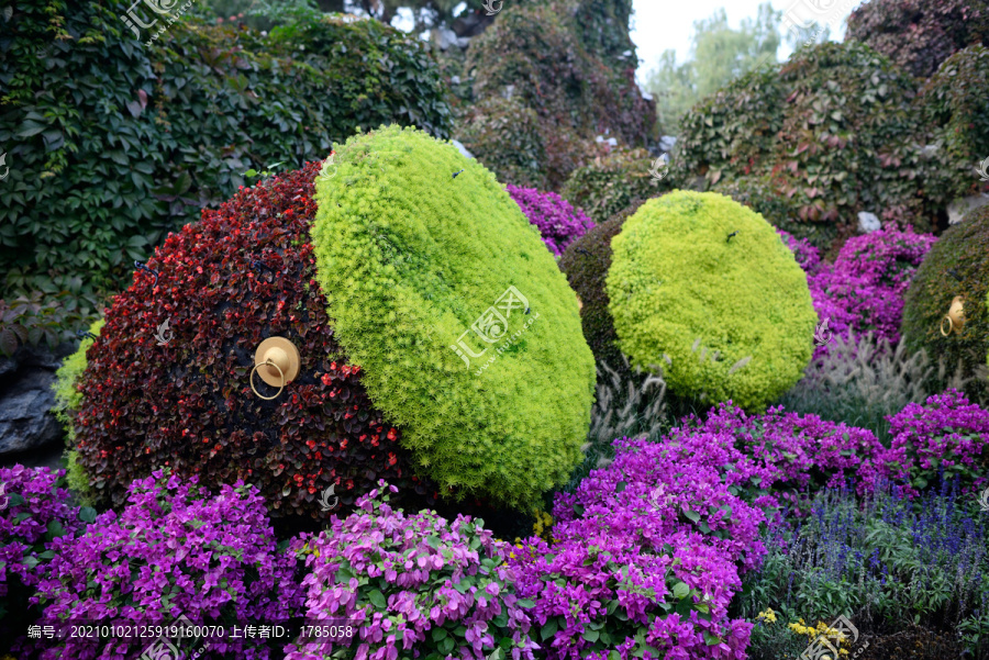 植物雕塑