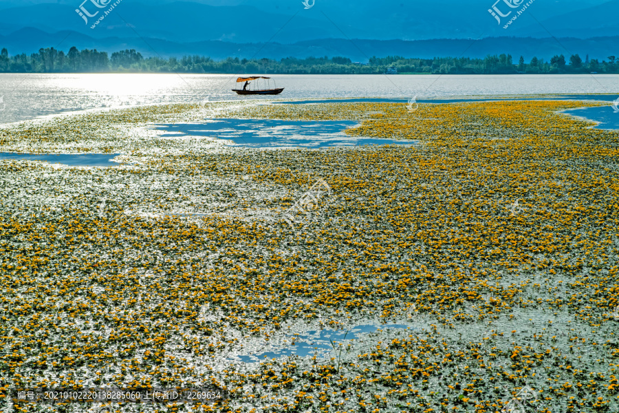 邛海湿地