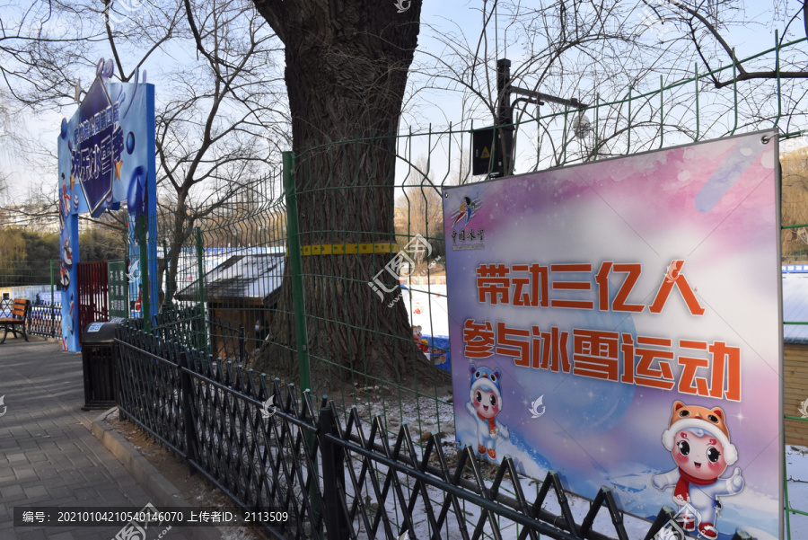北京紫竹院公园冰场