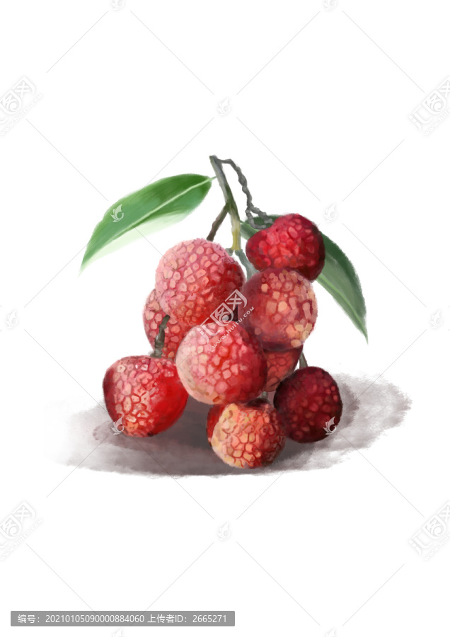 水彩風(fēng)荔枝手繪插畫