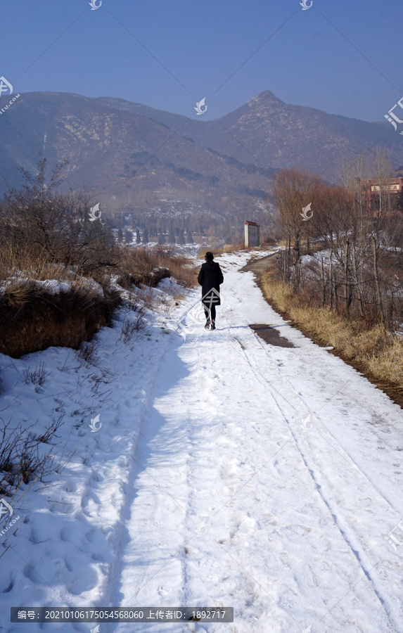 雪地背影