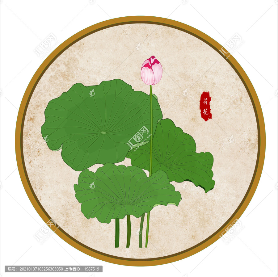 荷花