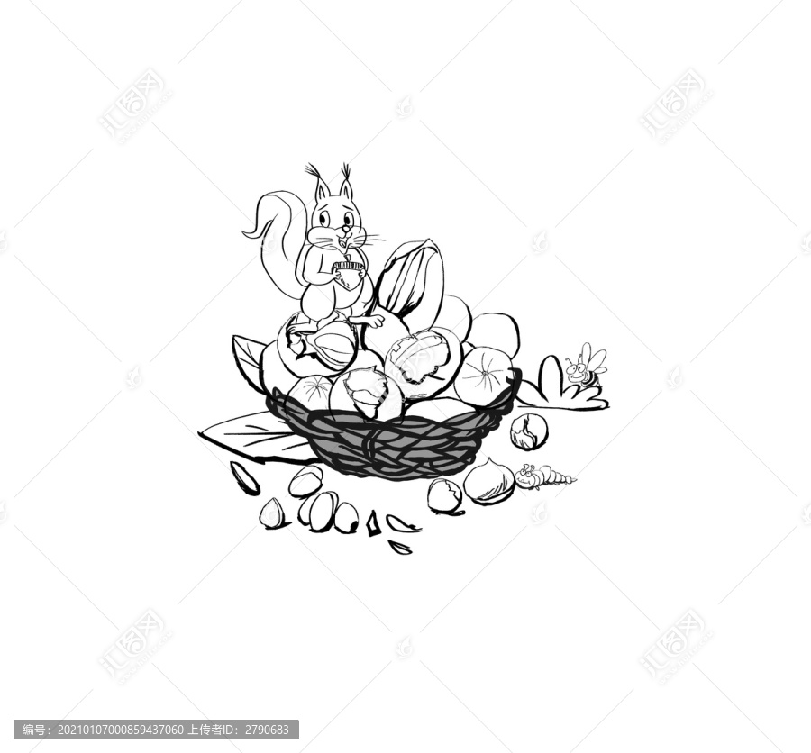 堅果插畫