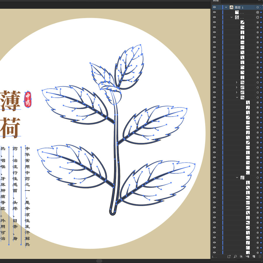 薄荷