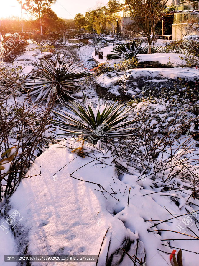 白雪覆盖的园区雨水花园