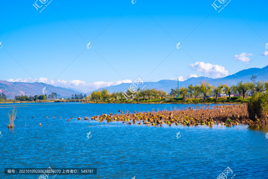 云南鹤庆草海湿地