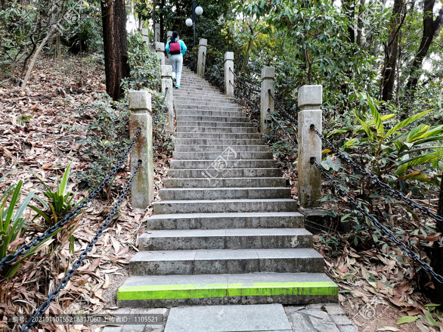 上山的石阶道路