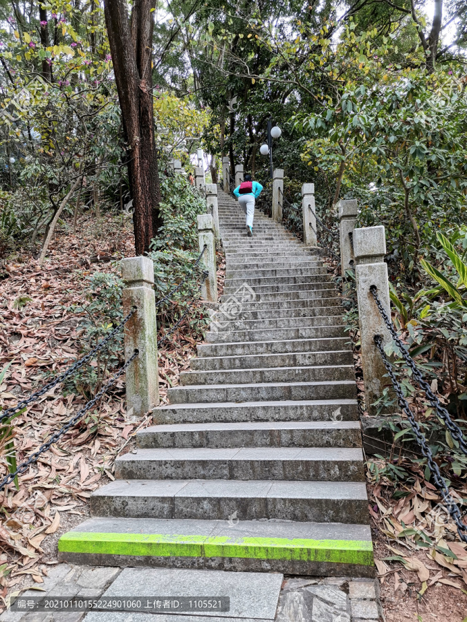 登山阶梯