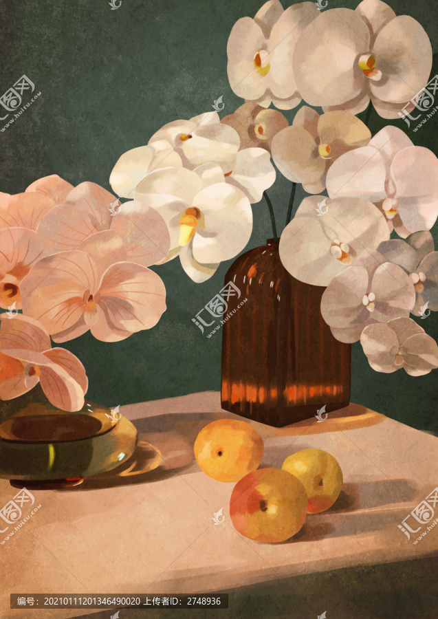 蝴蝶蘭和花瓶