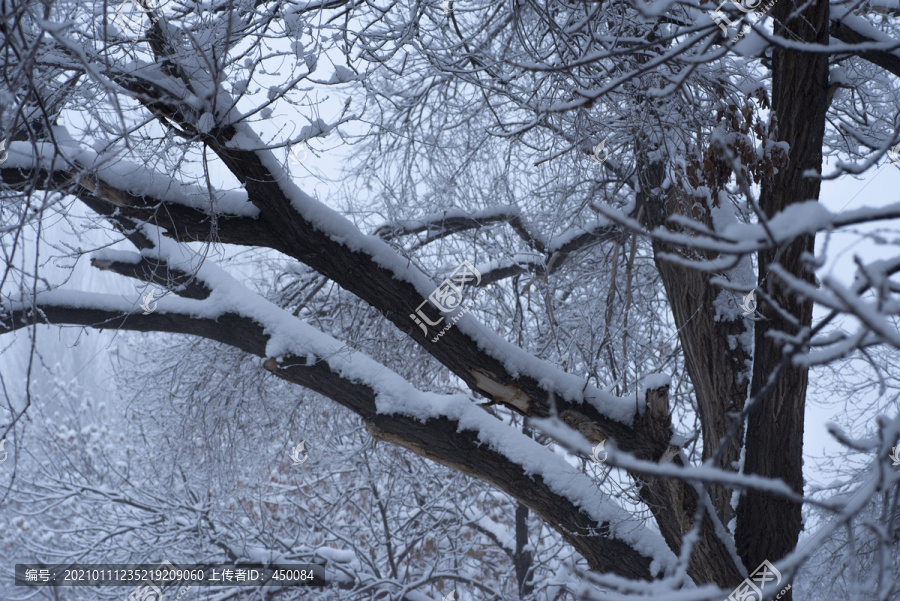 大雪