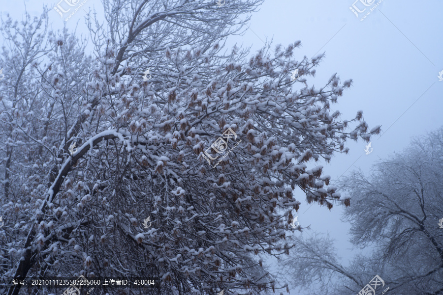 大雪