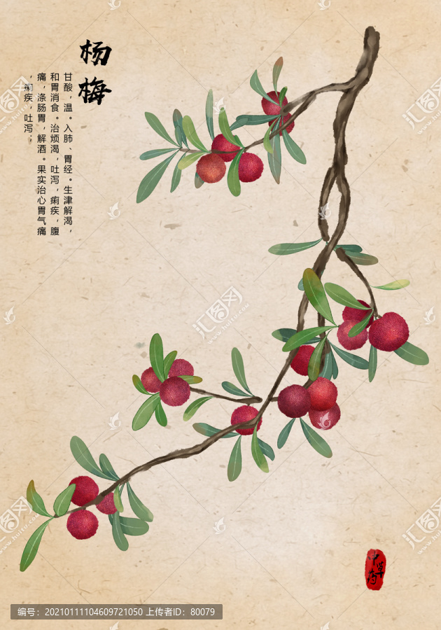 楊梅