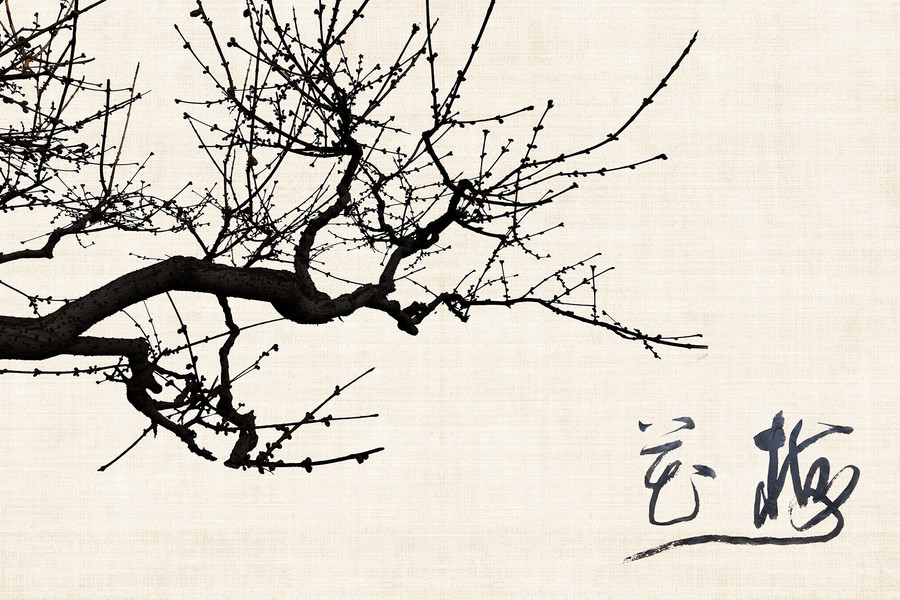 梅花圖
