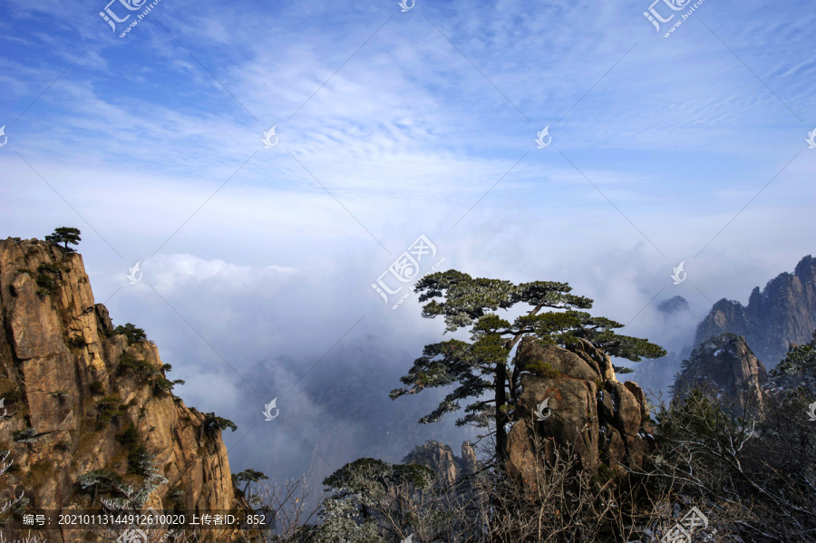 黄山冬景