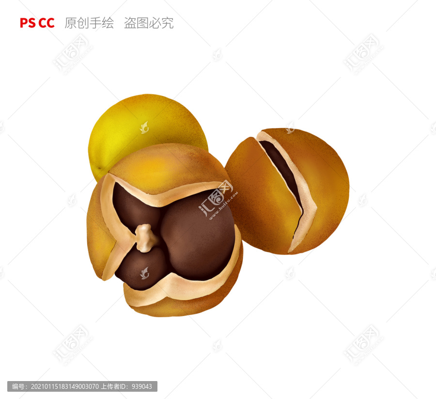 山茶果手繪