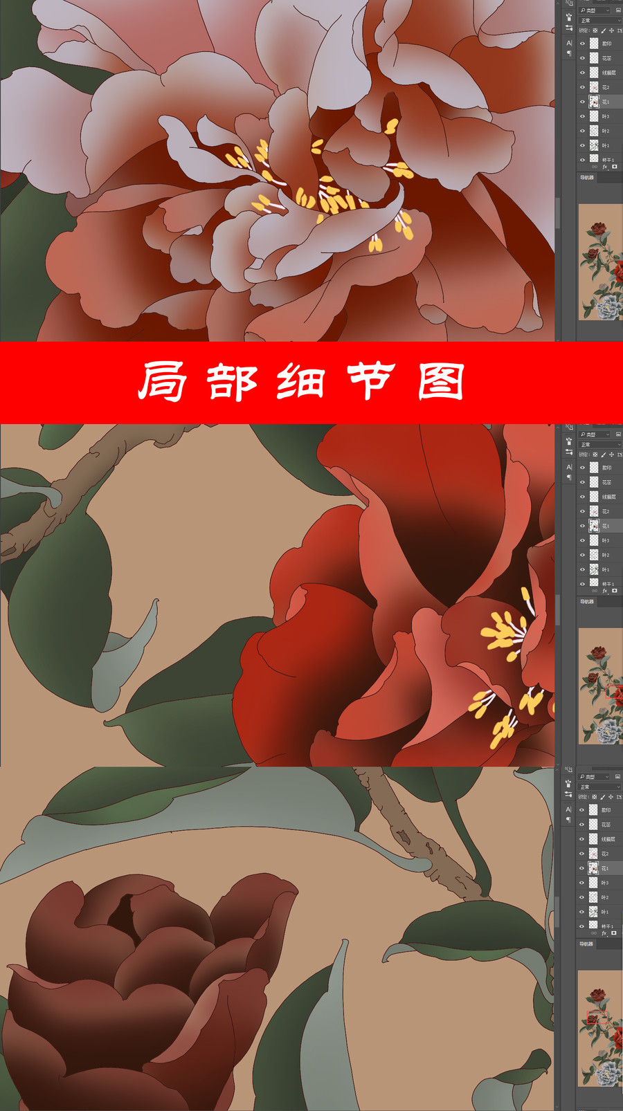 山茶花手繪工筆畫