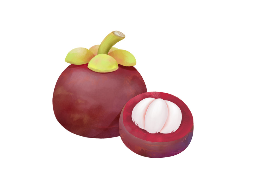 卡通寫(xiě)實(shí)成熟的山竹果肉水果插畫(huà)