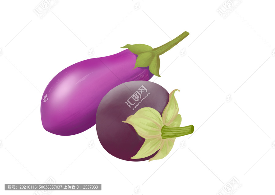 小清新写实卡通紫皮长茄和圆茄