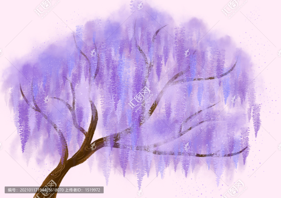 紫藤花樹(shù)