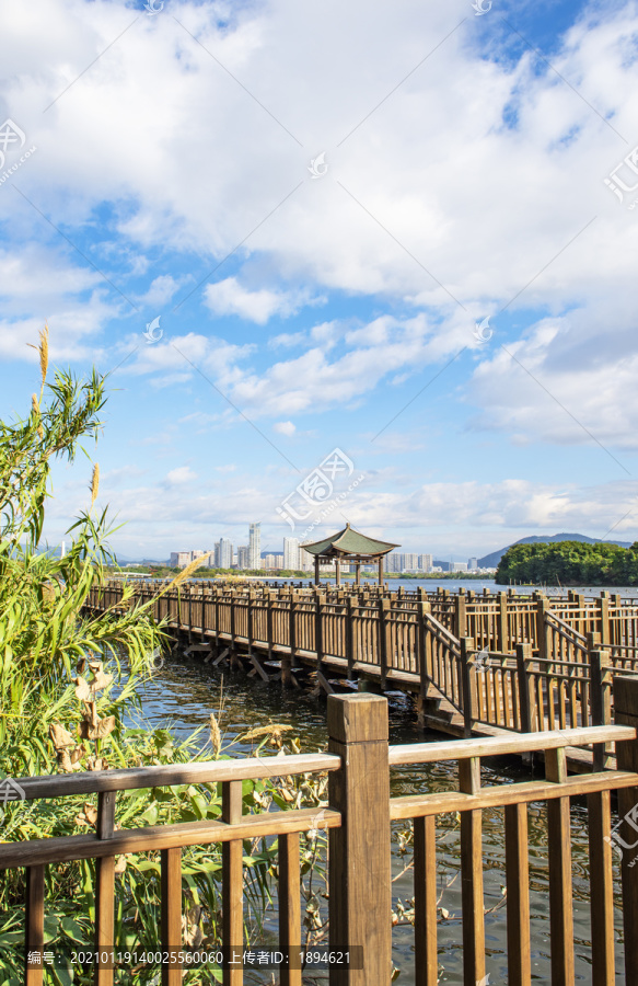 海边木栈道