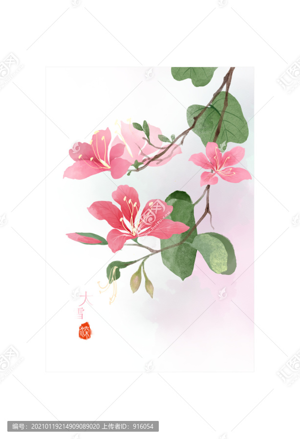 手繪紅花羊蹄甲