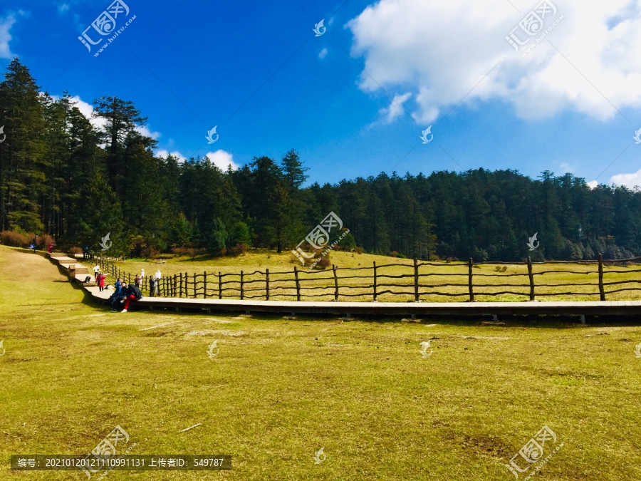 高山牧场