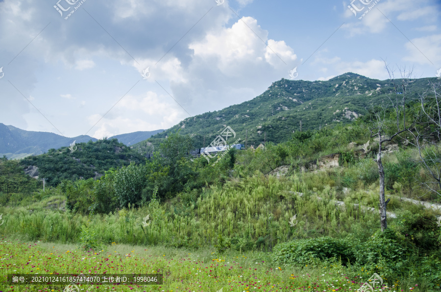 青山绿草