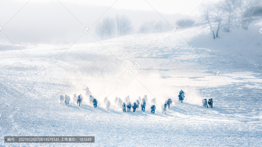 雪地奔马