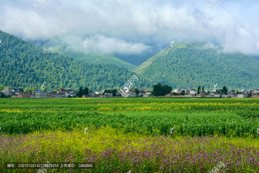 乡村风光