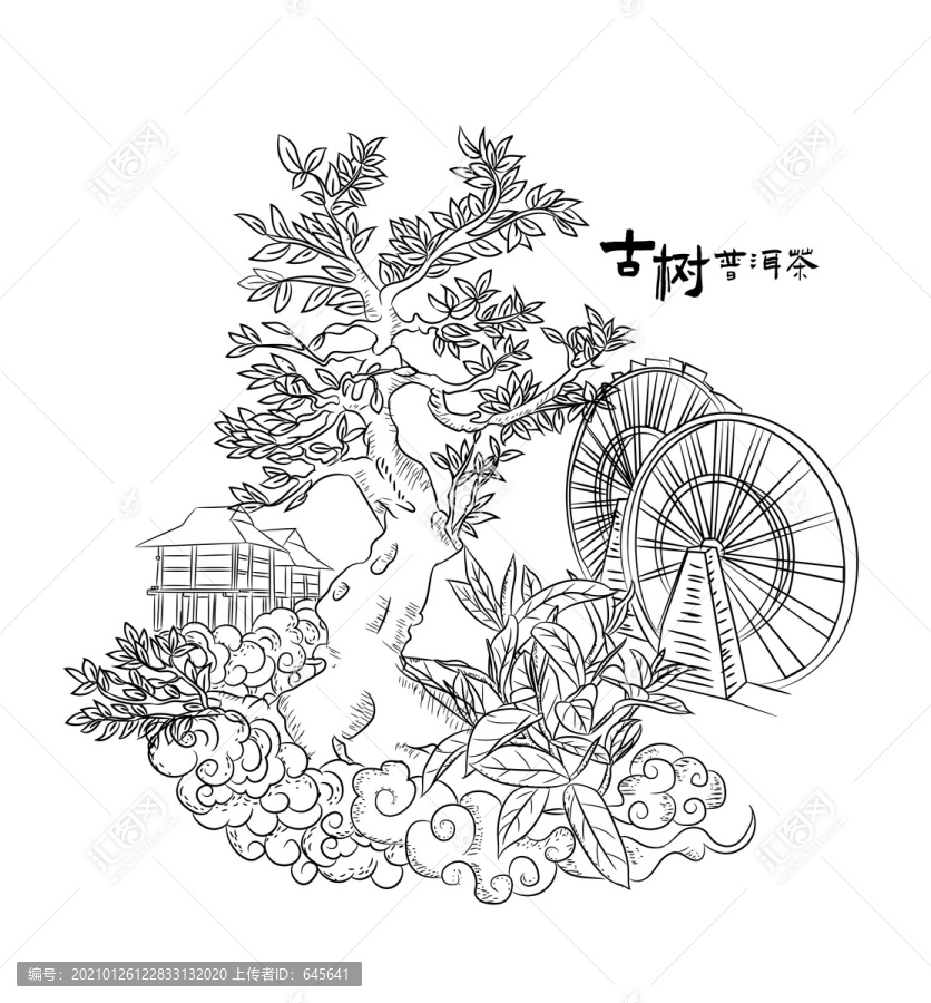 古樹茶剪影