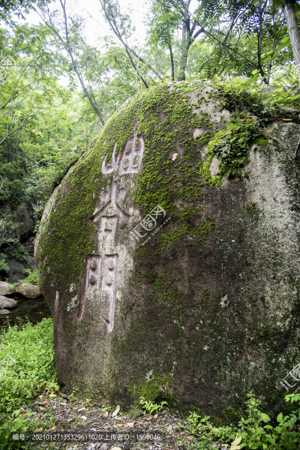 长满苔藓的石头