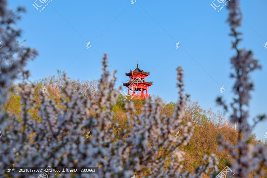 龙潭山观景台