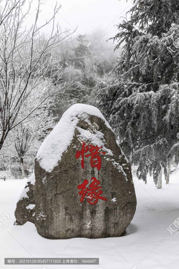 雪景