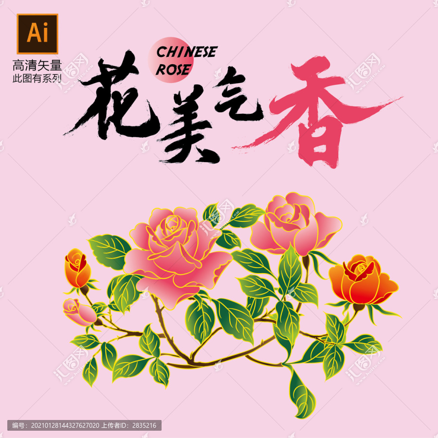 月季插畫