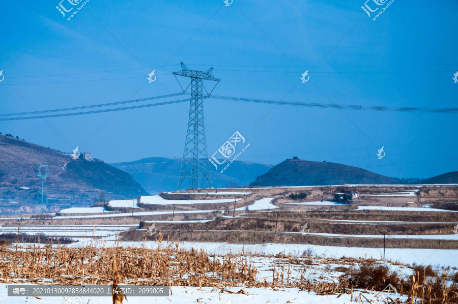 田野